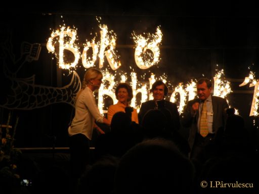 1-izbucnesc-jurnal-ilustrat-31