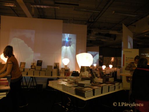 2-izbucnesc-jurnal-ilustrat-31