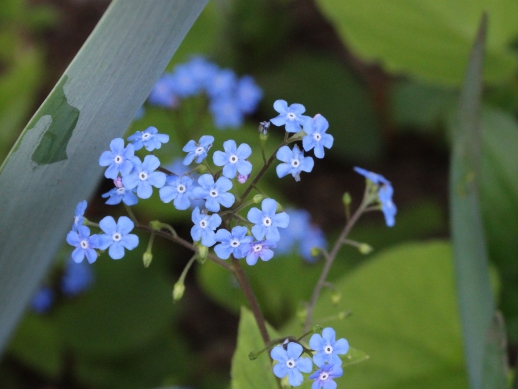 Jurnal ilustrat 120, 2