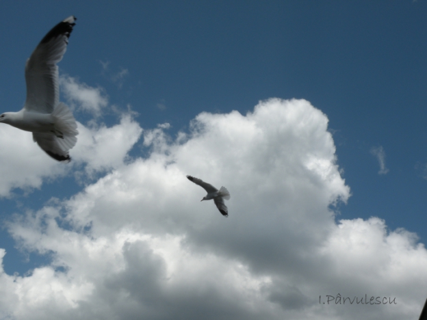 Jurnal ilustrat 123 - 2