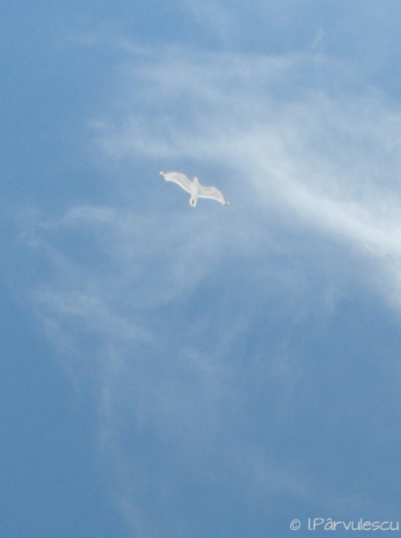 Jurnal ilustrat 123 - 4