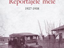 F. Brunea-Fox: profesiunea, reporter