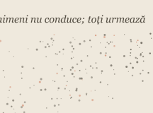 Inteligența asimetrică (V): Verdictul roiului. Zece ani mai târziu, raportul vine din interiorul cutiei negre