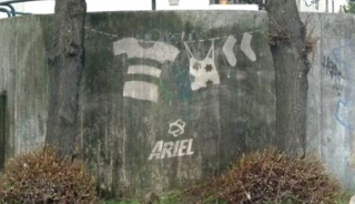 reverse-graffiti-ariel