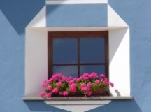 Despre îngerii lui Brumaru.