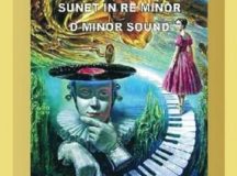 Fluiditate stilistică