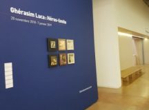 Sezonul Franța-România: Gherasim Luca, un inventator al oralității