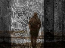 Adrian Munteanu. O scrisoare