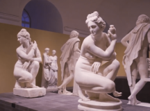 „Visele sunt literatura somnului”