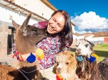 Un an în America Latină (3)