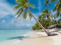 Un an în America Latină (4)