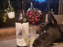 Ileana MOROIANU & Andrei CORNEA. BALTO-CĂȚELUL