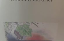 Liliana Ursu: „Limanul bucuriei”